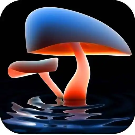 Play Light Wallpaper - HD APK