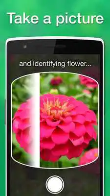 Play LikeThat Garden -Flower Search