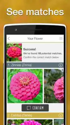 Play LikeThat Garden -Flower Search