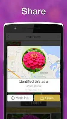 Play LikeThat Garden -Flower Search