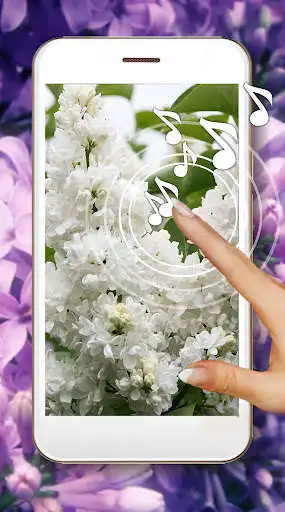 Play Lilac Paradise Live Wallpaper  and enjoy Lilac Paradise Live Wallpaper with UptoPlay