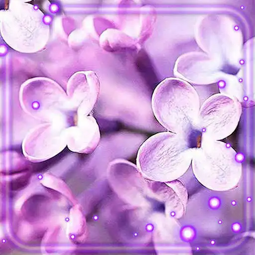 Play Lilac Pure Live Wallpaper APK