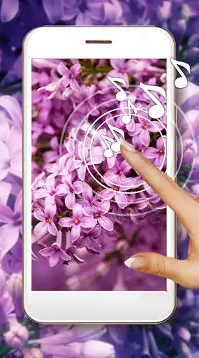 Play Lilac Pure Live Wallpaper and enjoy Lilac Pure Live Wallpaper with UptoPlay Play Lilac Pure Live Wallpaper and enjoy Lilac Pure Live Wallpaper with UptoPlay