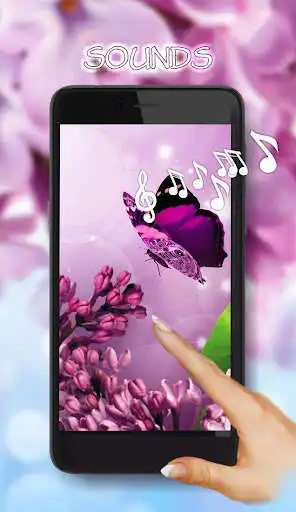 Play Lilac Purple n White  and enjoy Lilac Purple n White with UptoPlay