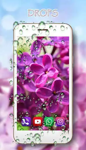 Play Lilac Purple n White as an online game Lilac Purple n White with UptoPlay