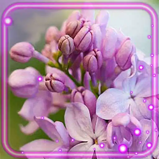 Play Lilac Tenderness APK