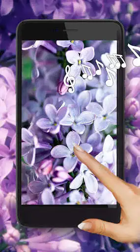 Play Lilac Tenderness and enjoy Lilac Tenderness with UptoPlay Play Lilac Tenderness and enjoy Lilac Tenderness with UptoPlay