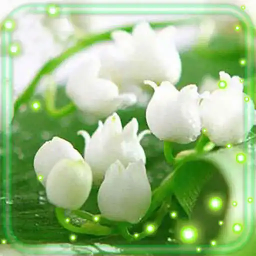 Play Lilies Valley Flowers APK