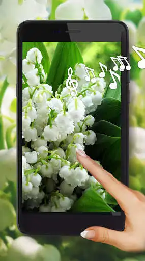 Play Lilies Valley Flowers and enjoy Lilies Valley Flowers with UptoPlay Play Lilies Valley Flowers and enjoy Lilies Valley Flowers with UptoPlay