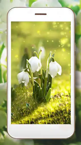 Play Lilies Valley Flowers as an online game online Lilies Valley Flowers with UptoPlay com.newguinn.liliesvalleyflowers Play Lilies Valley Flowers as an online game Lilies Valley Flowers with UptoPlay