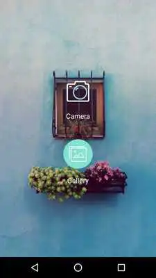 Play Lilly Cam : Photo Filter, Sticker
