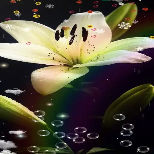 Play Lily Flower Wallpaper APK Play Lily Flower Wallpaper APK