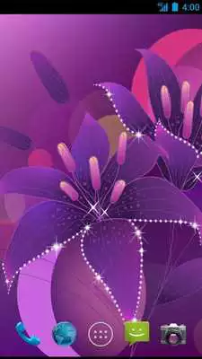 Play Lily Wallpapers