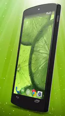 Play Lime Live Wallpaper Play Lime Live Wallpaper