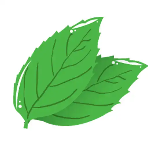Play limeMOBILE APK Play limeMOBILE APK