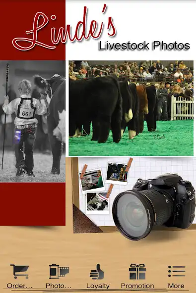 Play Lindes Livestock Photography