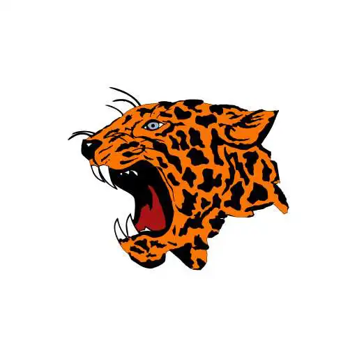 Play Lindsay Public Schools Leopard APK