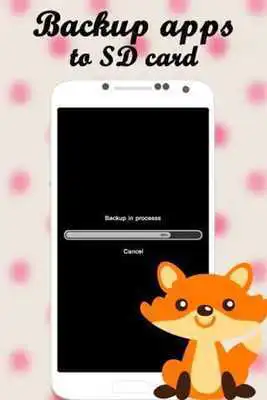 Play Link club soccer footballs