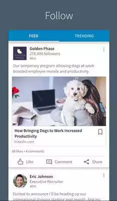 Play LinkedIn