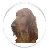 Free play online Link Setter APK