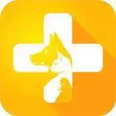 Free play online LinkVeteriner APK