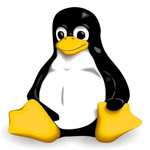 Free play online Linux SSH Performance  APK