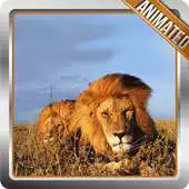 Free play online Lion Animated Wallpaper APK