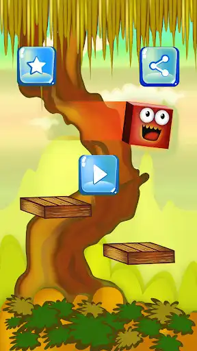 Play Lioncube of jungle