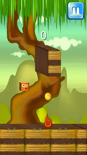 Play Lioncube of jungle