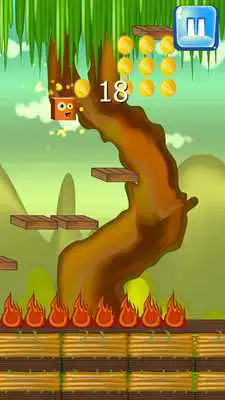 Play Lioncube of jungle
