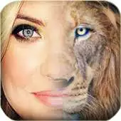 Free play online Lion Face Morphing APK Free play online Lion Face Morphing APK