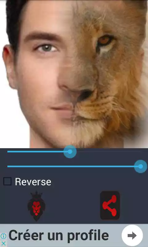 Play Lion Face Morphing