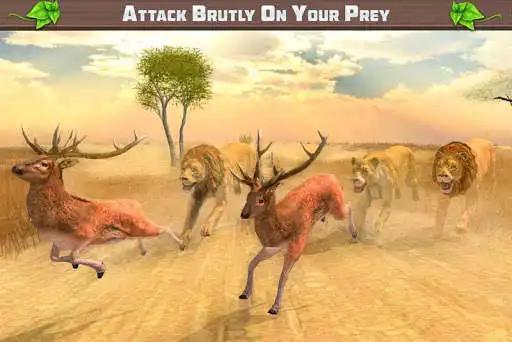 Play Lion Family Simulator: Jungle Survival as an online game Lion Family Simulator: Jungle Survival with UptoPlay