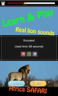 Play Lion Games for Kids : Free
