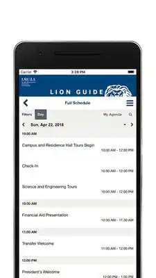 Play Lion Guide