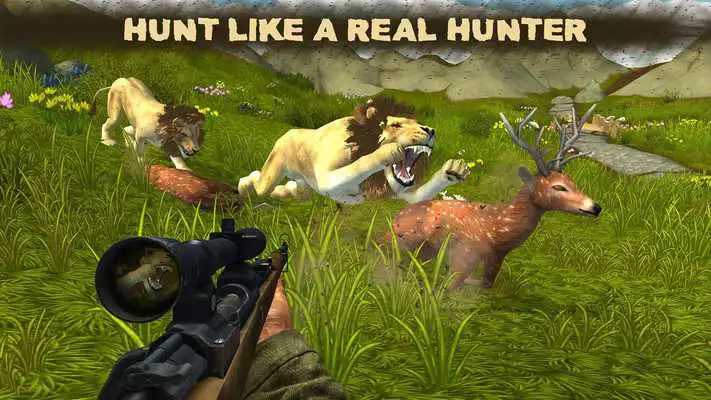 Play Lion Hunter 2017
