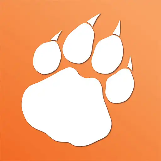 Play Lion APK Play Lion APK