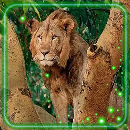 Play Lion King Jungle APK Play Lion King Jungle APK
