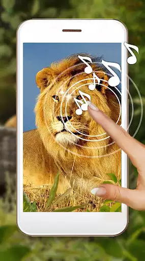 Play Lion King Jungle  and enjoy Lion King Jungle with UptoPlay