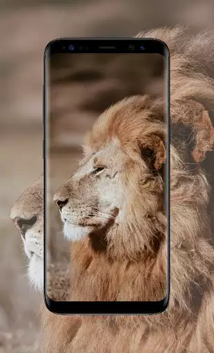 Play Lion king wallpaper  and enjoy Lion king wallpaper with UptoPlay