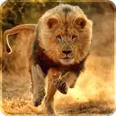 Free play online Lion Live Wallpaper 2019: 3D Real HD Background APK Free play online Lion Live Wallpaper 2019: 3D Real HD Background APK
