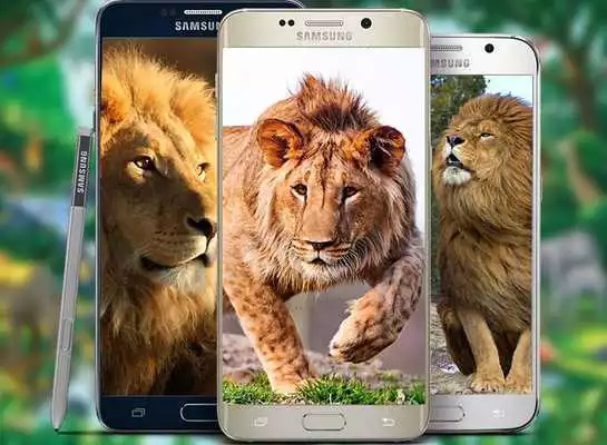 Play Lion Live Wallpaper 2019: 3D Real HD Background