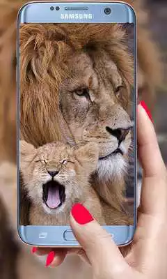 Play Lion Live Wallpaper 2019: 3D Real HD Background
