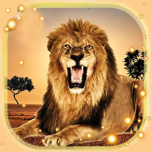Free play online Lion Live Wallpaper APK
