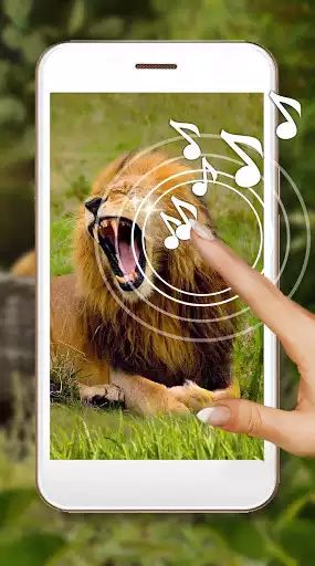 Play Lion Live Wallpaper  and enjoy Lion Live Wallpaper with UptoPlay