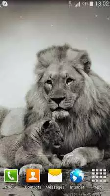 Play Lion Live Wallpaper