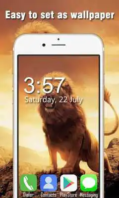 Play Lion Live Wallpapers HD Play Lion Live Wallpapers HD