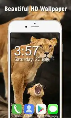 Play Lion Live Wallpapers HD Play Lion Live Wallpapers HD