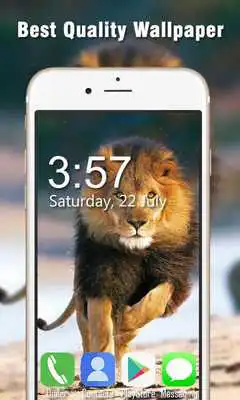 Play Lion Live Wallpapers HD Play Lion Live Wallpapers HD