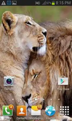 Play Lion Love Live Wallpaper